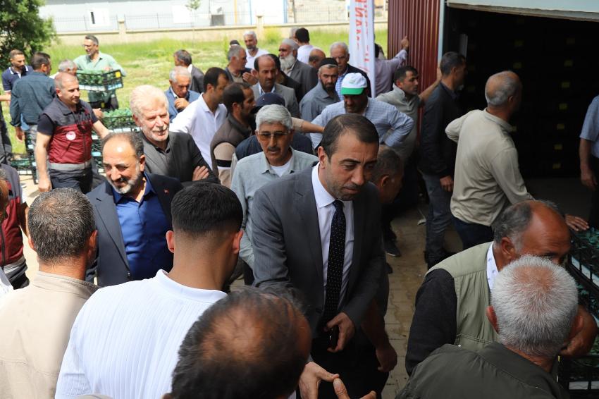 Sebze Fidesi Dağıtıldı