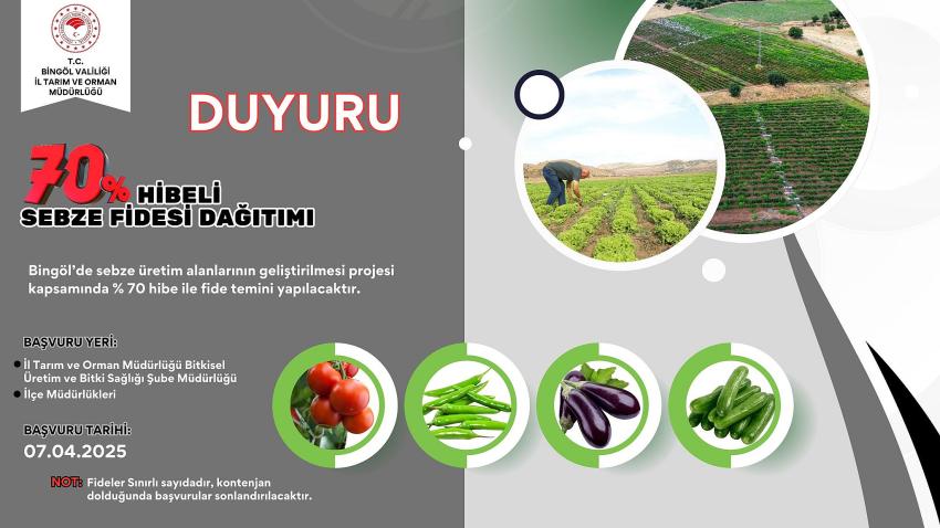 Hibeli Sebze Fidesi Dağıtılacak