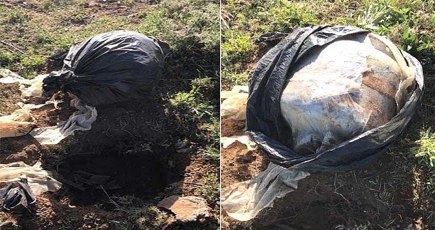 TERÖR ÖRGÜTÜNE AİT EYP ELE GEÇİRİLDİ