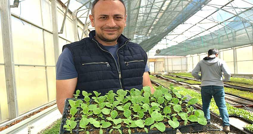 ÜNİVERSİTE SERALARINDA ÜRETİLEN SEBZE FİDELERİNİN SATIŞLARI BAŞLADI