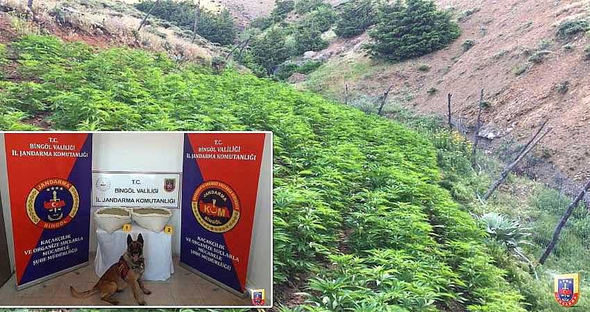 UYUŞTURUCU ELE GEÇİRİLDİ