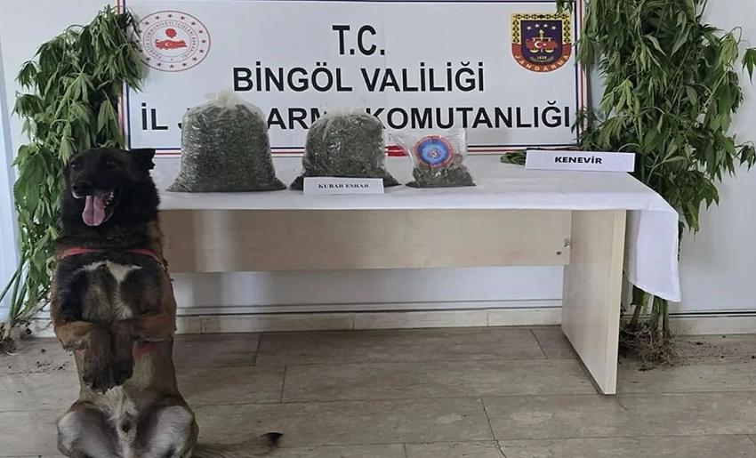 Uyuşturucunun Kökü Kazılıyor