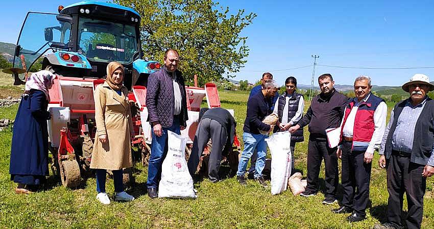 SİLAJLIK MISIRDA DEMONSTRASYON ÇALIŞMASI