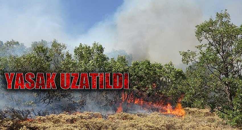 ORMANLIK ALANLARA GİRİŞLER 1 EKİM'E KADAR YASAKLANDI