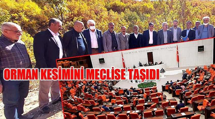 AYDEMİR, ORMAN KESİMİNİ MECLİSE TAŞIDI